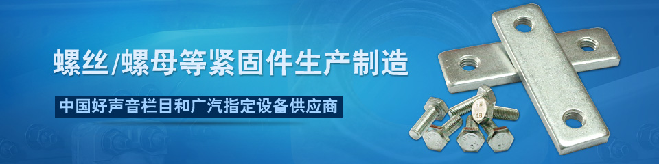 中標(biāo)螺絲——專注螺絲、螺母等緊固件生產(chǎn)制造！